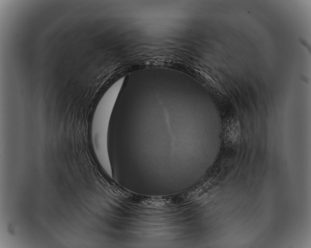 X0000091640661200709131432