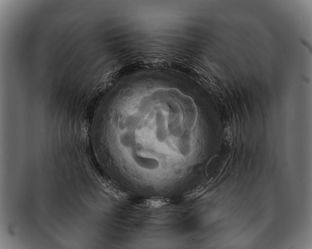 X0000091640662200709131432