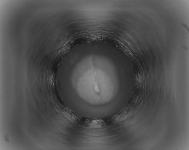 X0000091640663200709131432