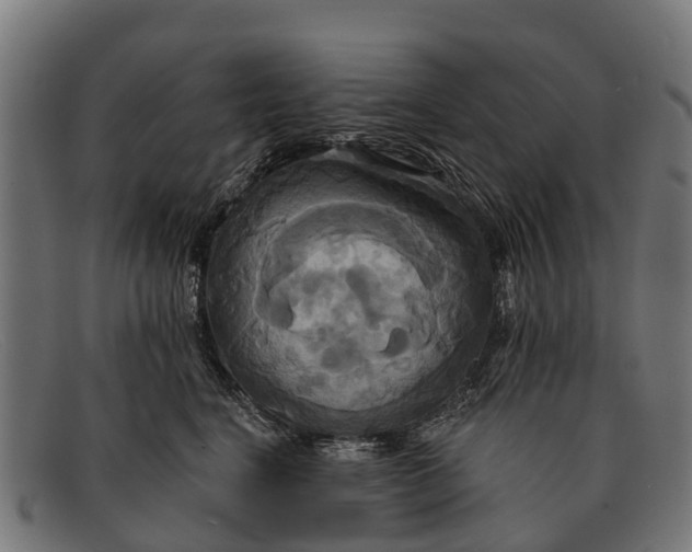 X0000091640664200709131432
