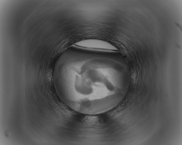 X0000091640665200709131432
