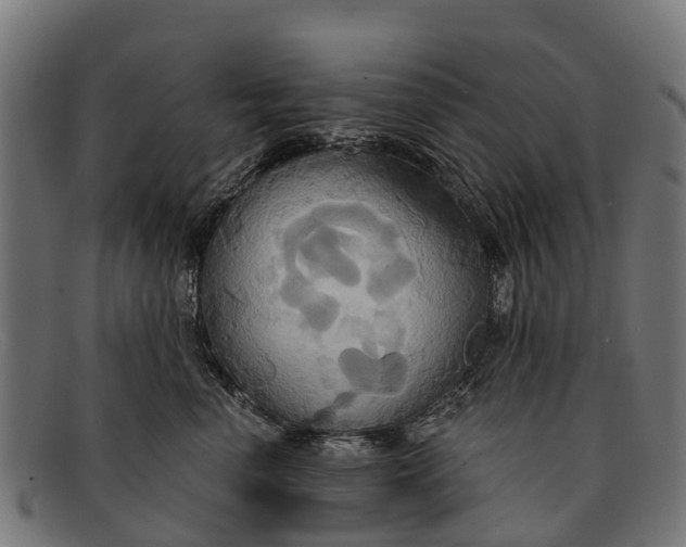 X0000091640666200709131432