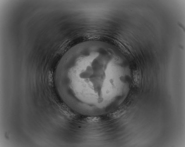 X0000091640667200709131432