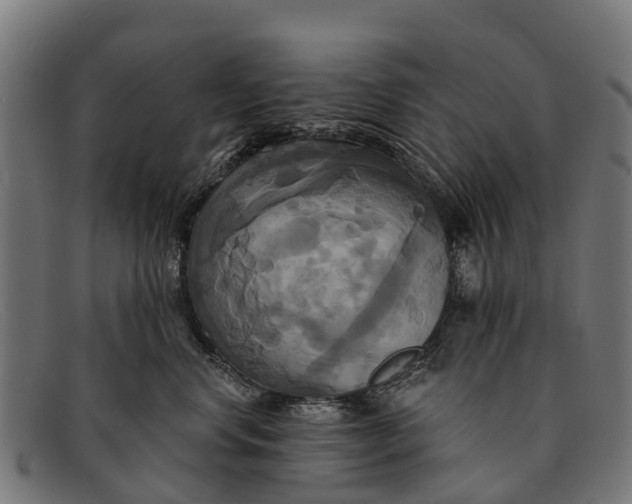 X0000091640668200709131432