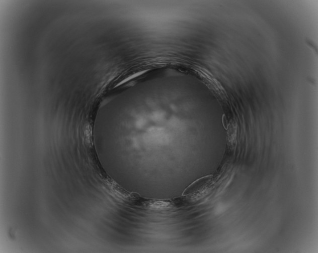 X0000091640669200709131432
