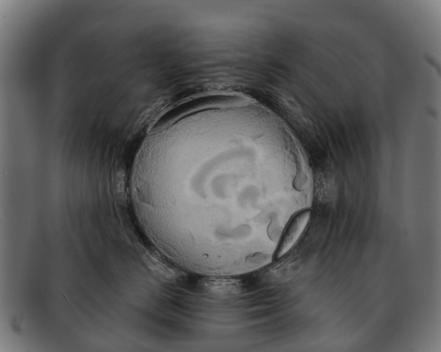 X0000091640670200709131432