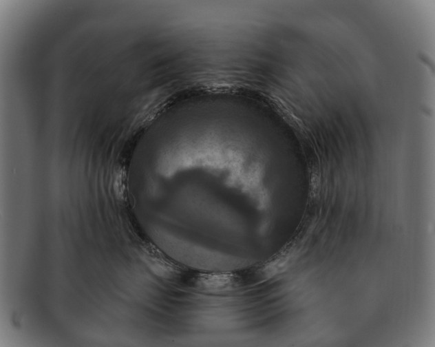 X0000091640671200709131432