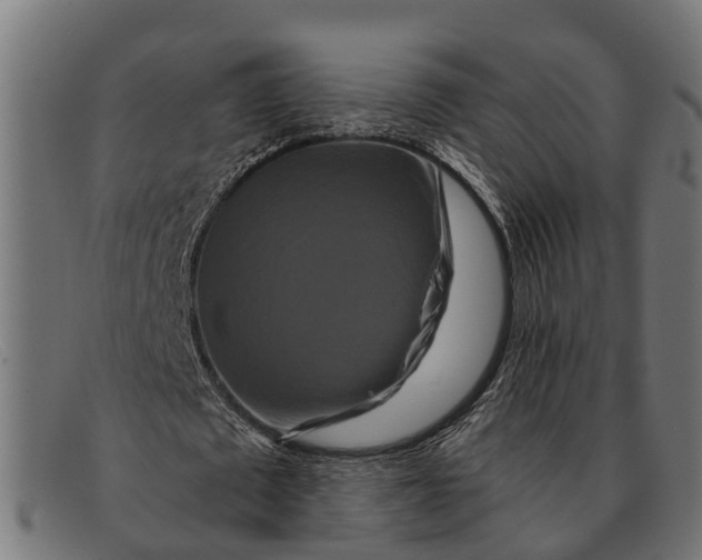 X0000091640673200709131432