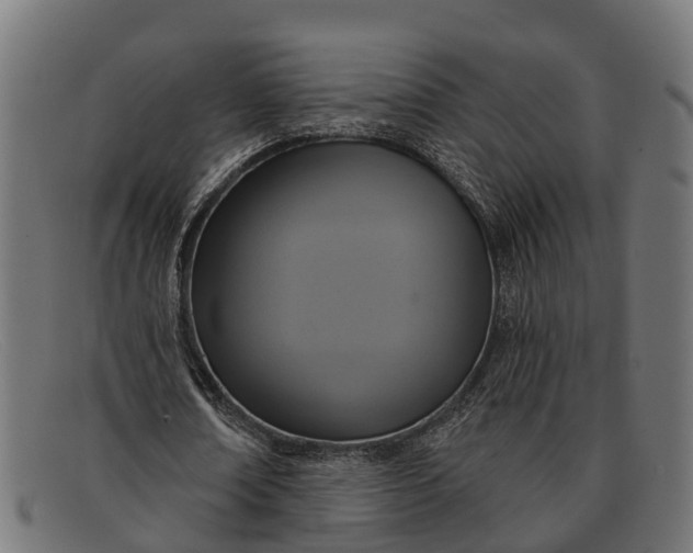 X0000091640674200709131432