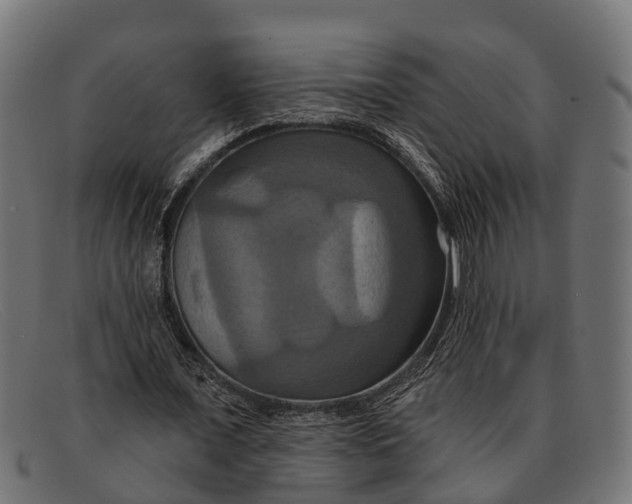 X0000091640675200709131432