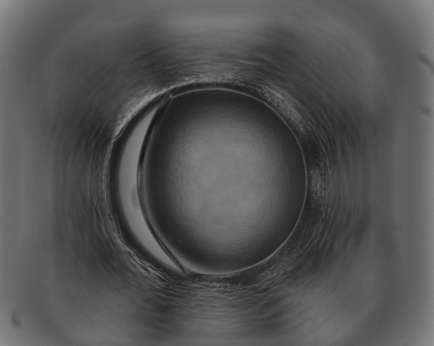 X0000091640676200709131431