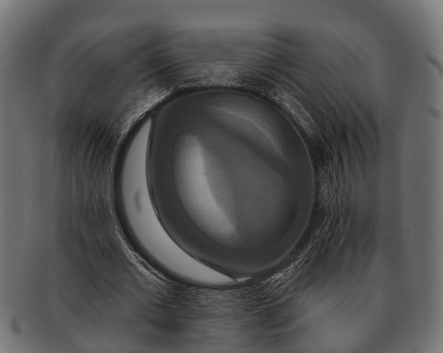 X0000091640677200709131431