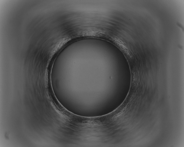 X0000091640678200709131431
