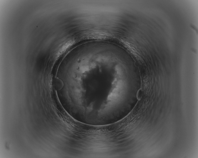 X0000091640679200709131431