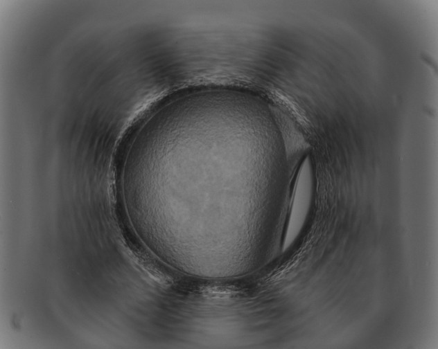 X0000091640680200709131431