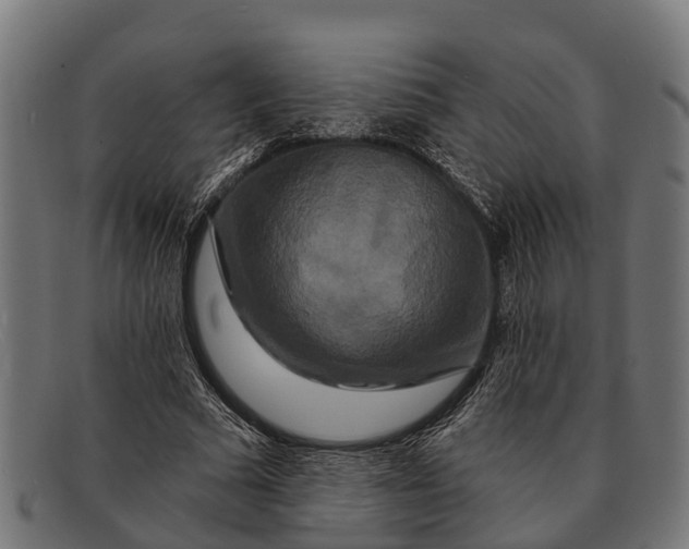 X0000091640681200709131431