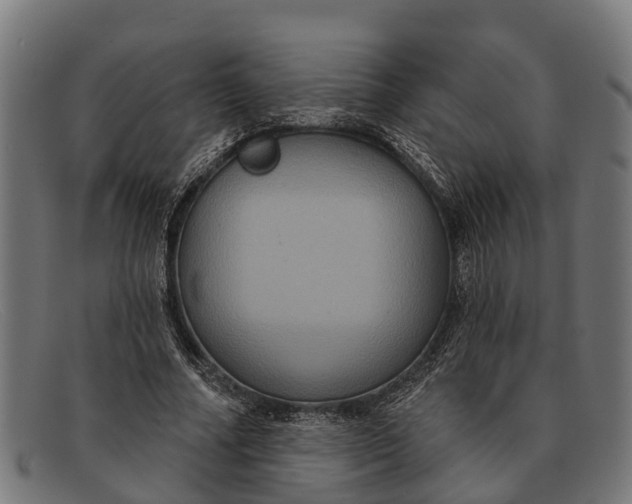 X0000091640682200709131431