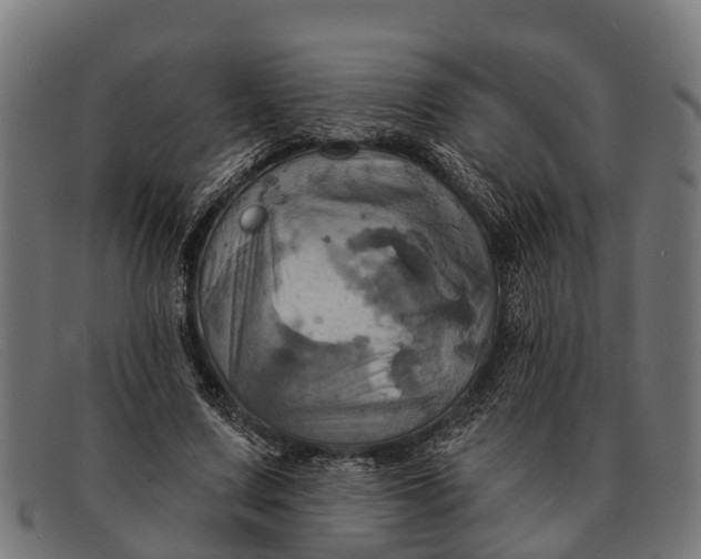 X0000091640683200709131431
