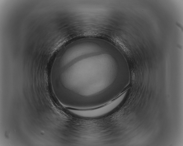 X0000091640684200709131431