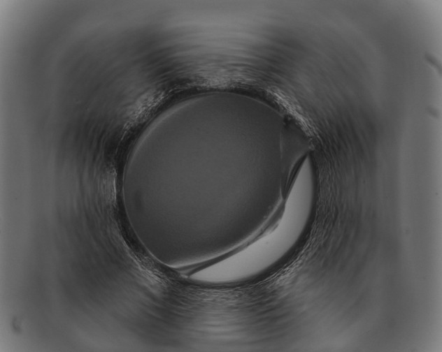 X0000091640685200709131431