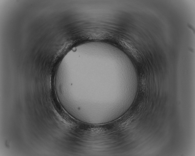 X0000091640686200709131431