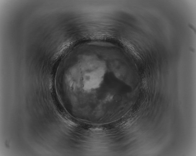 X0000091640687200709131431