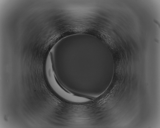 X0000091640689200709131431