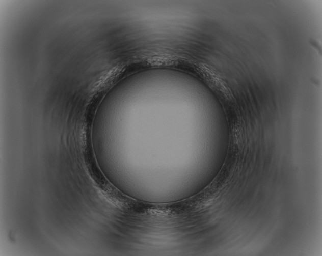 X0000091640690200709131431