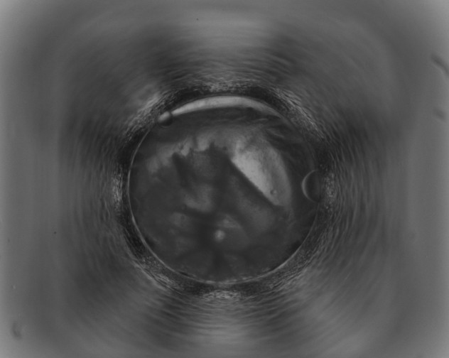 X0000091640691200709131431