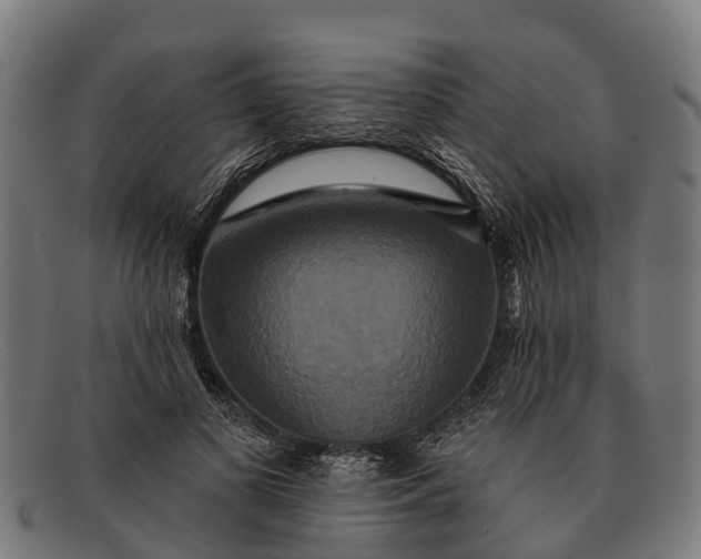 X0000091640693200709131431