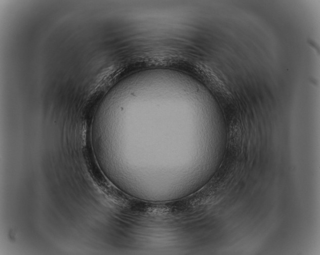 X0000091640694200709131431