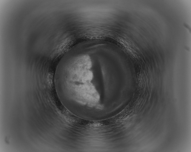 X0000091640695200709131431
