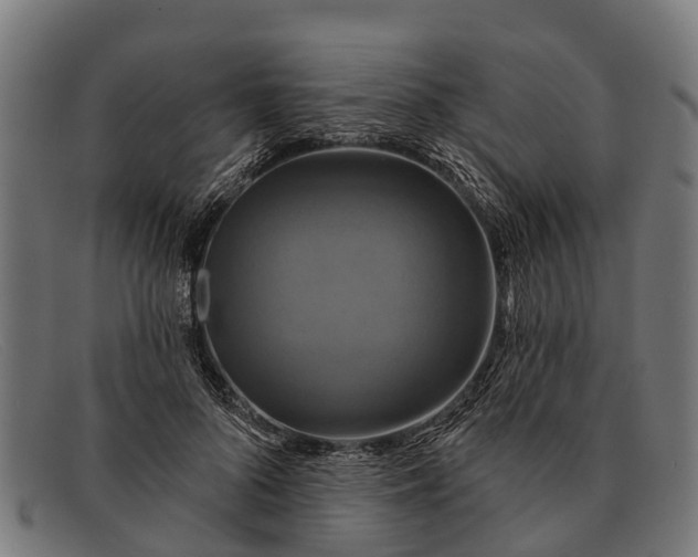 X0000091640696200709131431