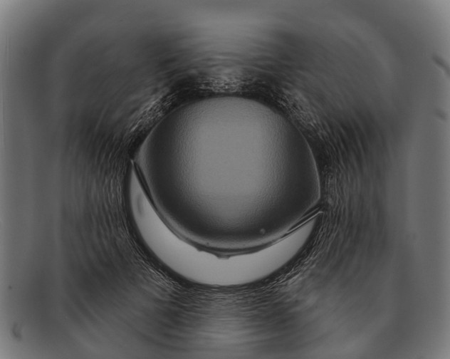 X0000091640697200709131431