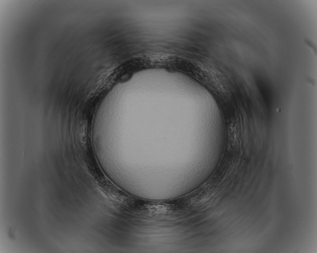 X0000091640698200709131431
