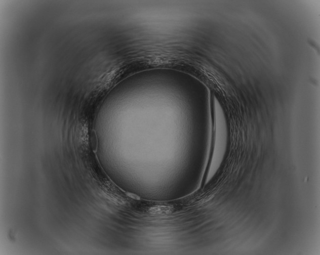 X0000091640700200709131431