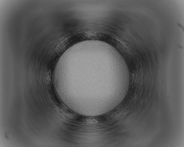 X0000091640702200709131431