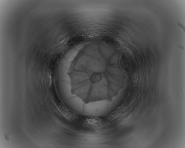 X0000091640703200709131431
