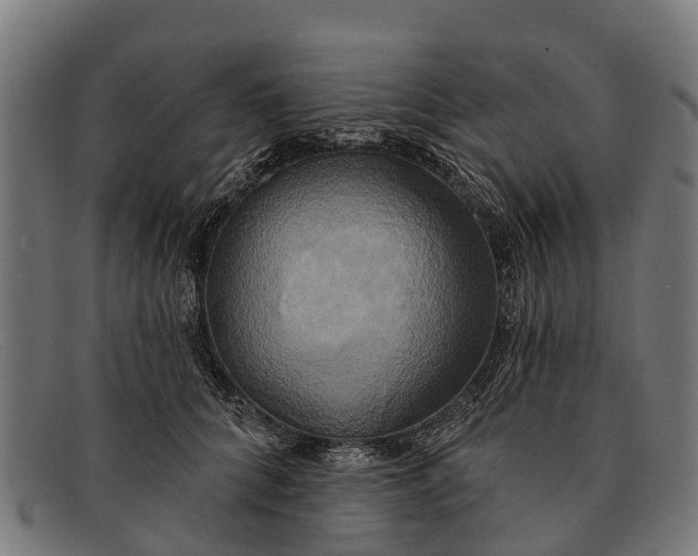 X0000091640704200709131431
