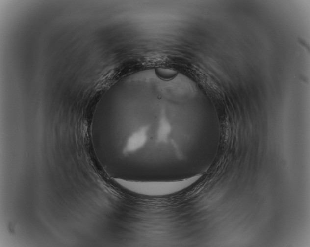 X0000091640711200709131431