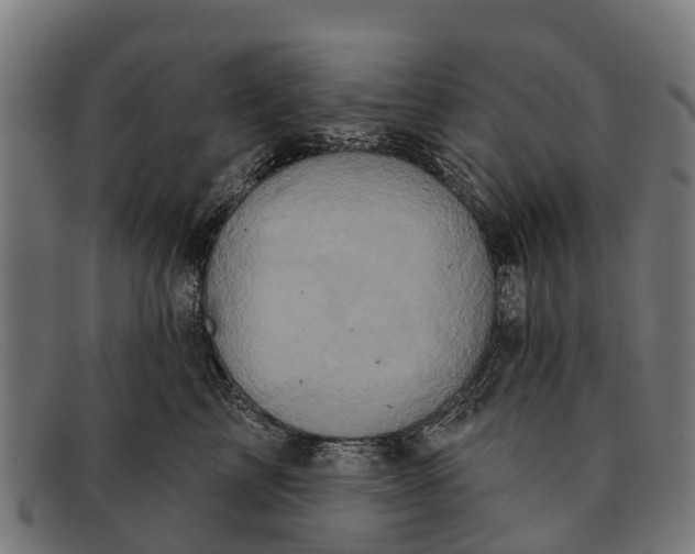 X0000091640713200709131431