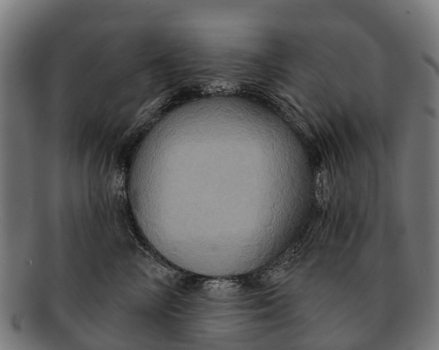 X0000091640714200709131431
