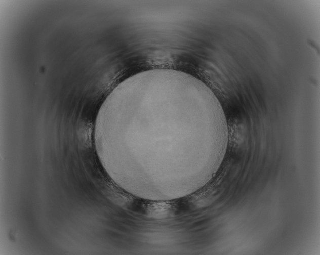 X0000091640717200709131431