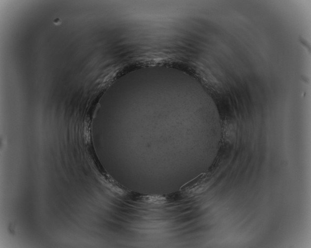 X0000091640719200709131431