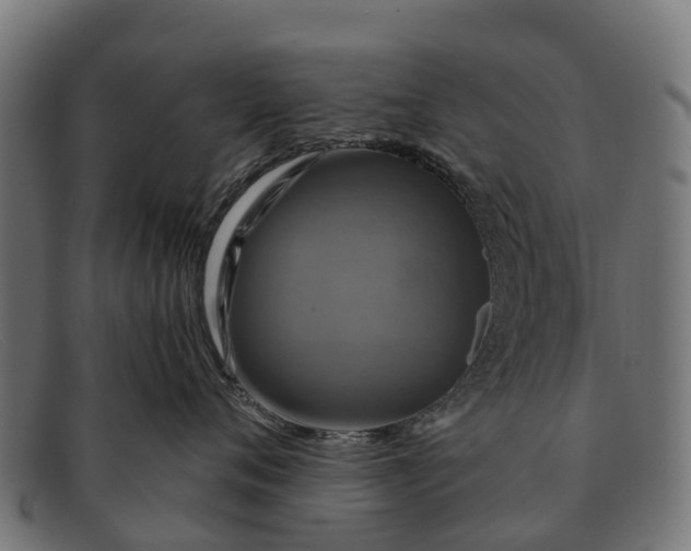 X0000091640720200709131431