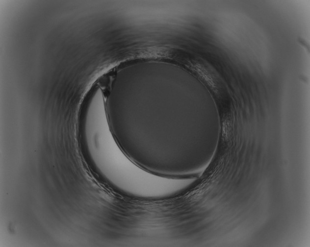 X0000091640724200709131430