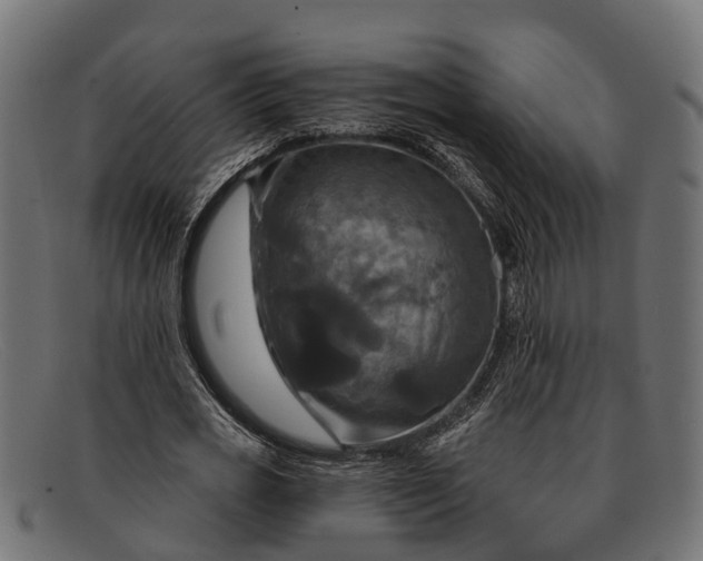 X0000091640725200709131430