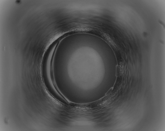 X0000091640726200709131430