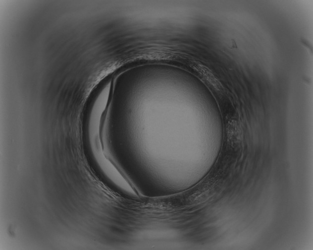X0000091640727200709131430