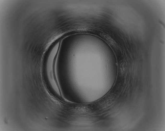X0000091640728200709131430